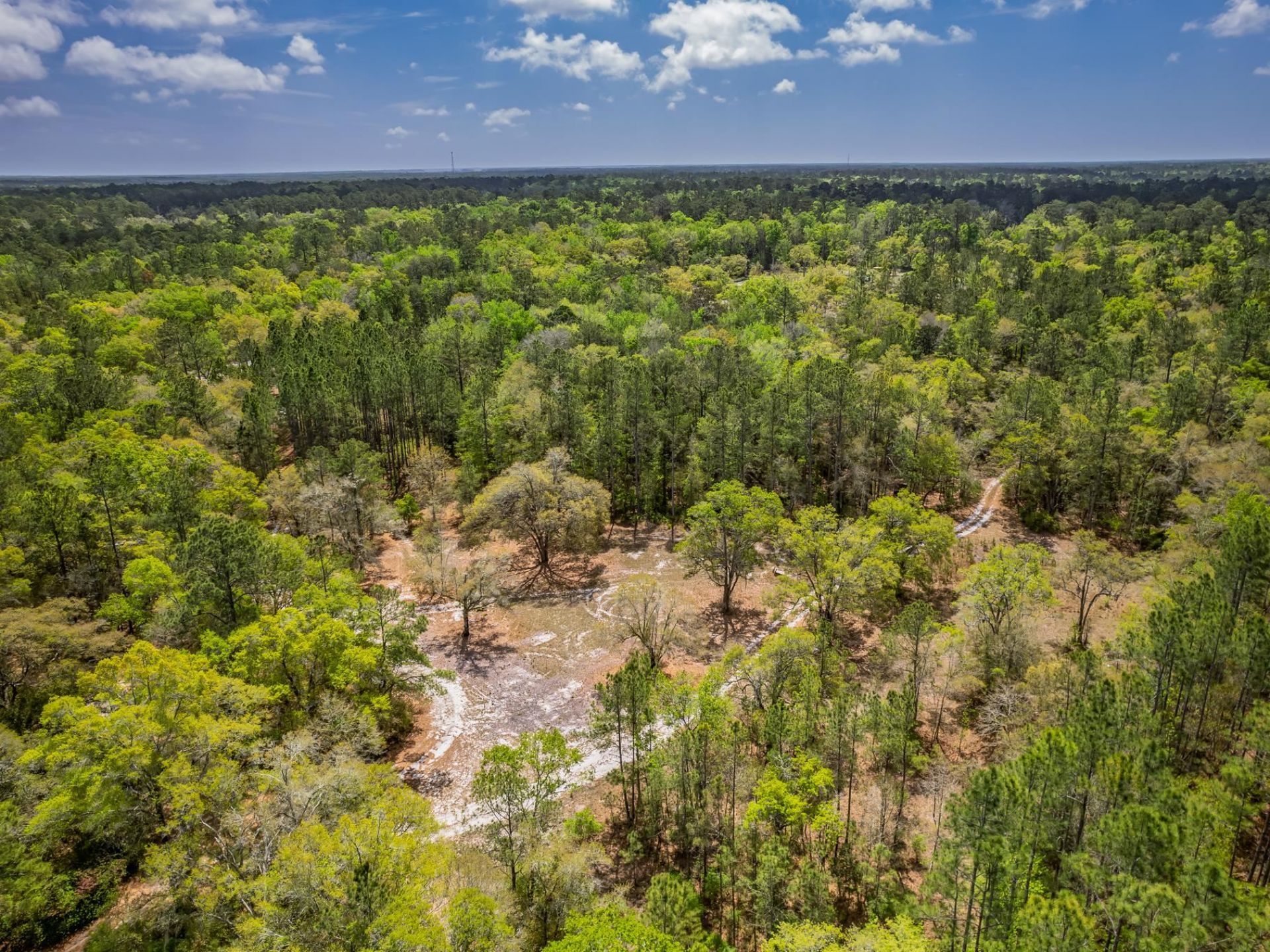 Xxx Tucker Springs Road, Sopchoppy, FL 32358 Photo