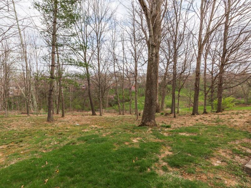 1816 Knollmont Drive, Florence, KY 41042 Photo 26