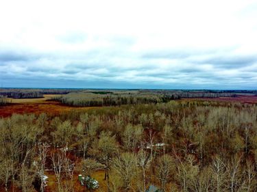 61613 Park Hills Road, Bruno, MN 55712