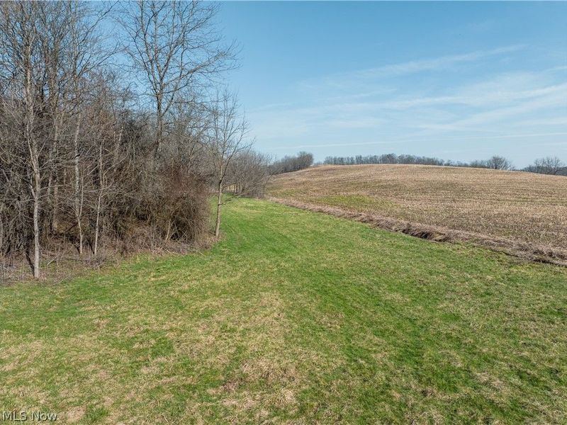 Coal Road, Fresno, OH 43824 Photo 4