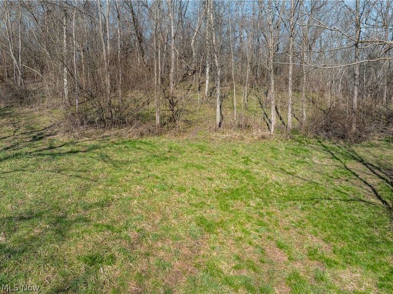 Coal Road, Fresno, OH 43824 Photo 6