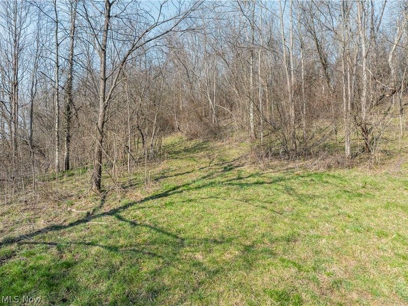 Coal Road, Fresno, OH 43824 Photo 7