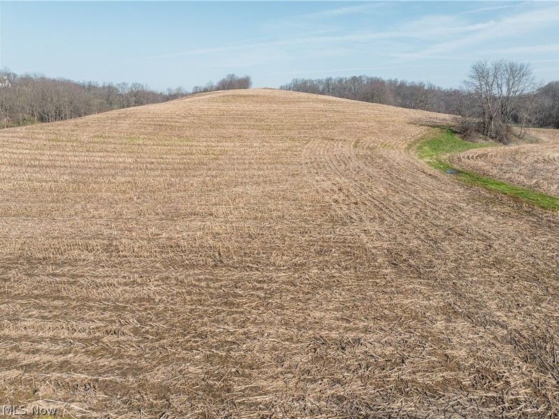 Coal Road, Fresno, OH 43824 Photo 4