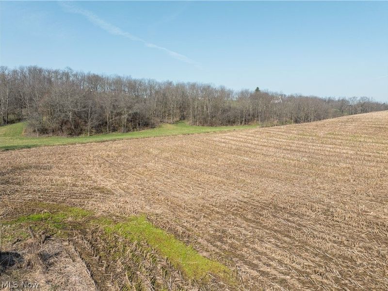 Coal Road, Fresno, OH 43824 Photo 5