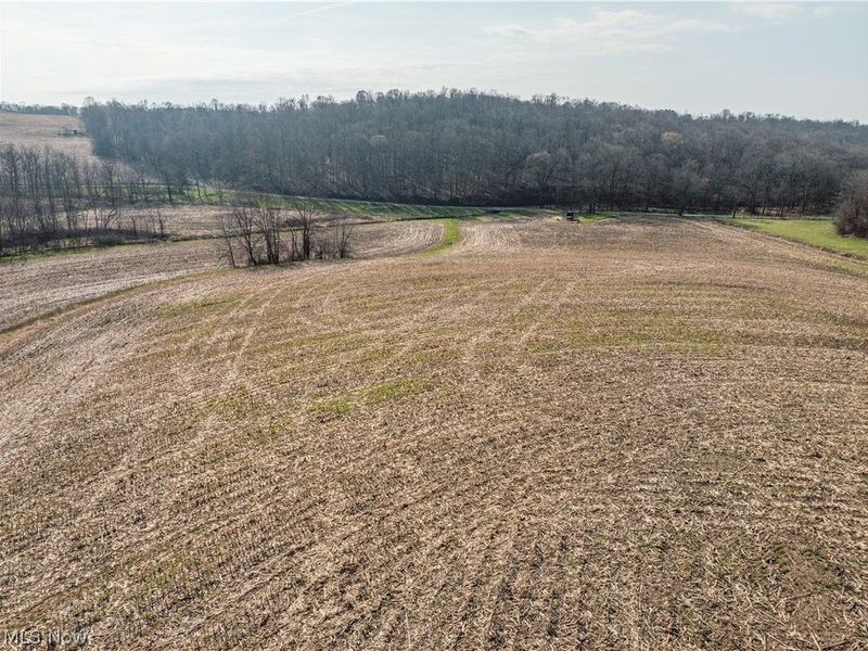 Coal Road, Fresno, OH 43824 Photo 9