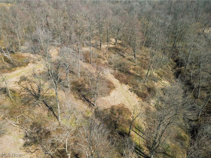 Pleasant Hill Drive, Fresno, OH 43824 Photo 25