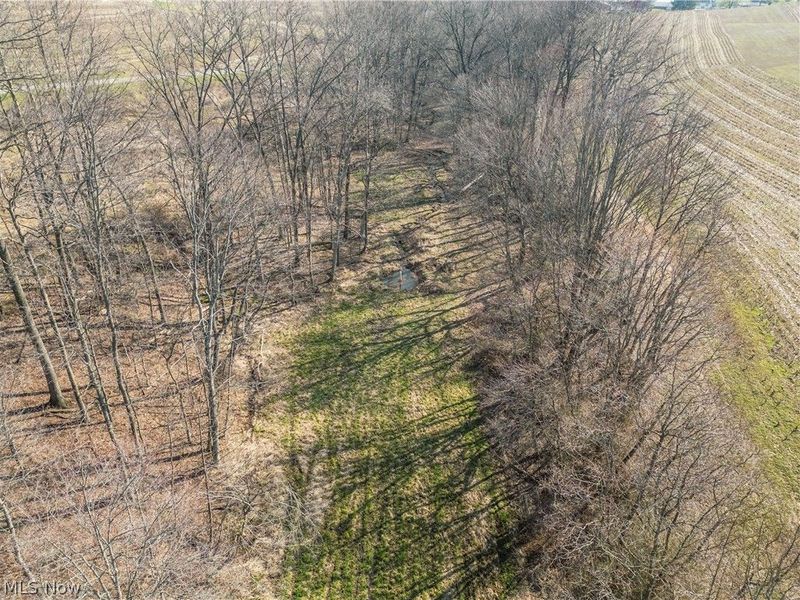 Pleasant Hill Drive, Fresno, OH 43824 Photo 5