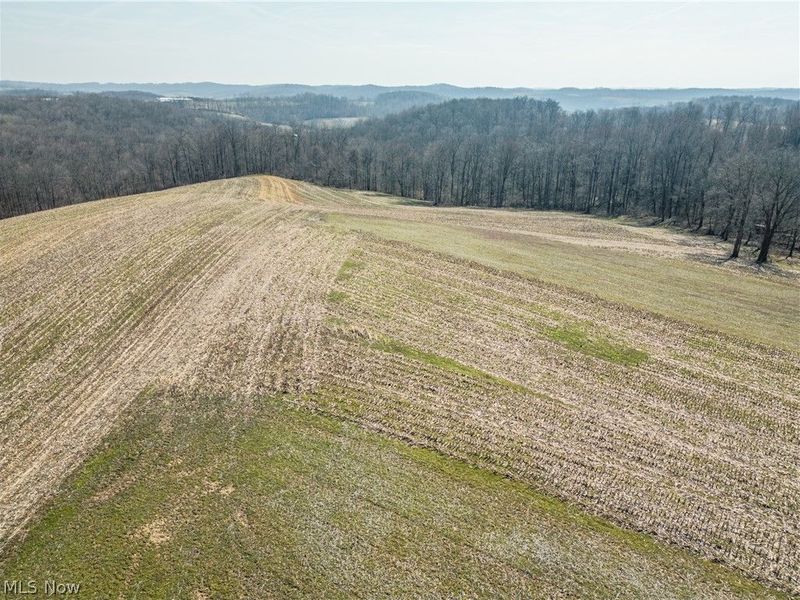 Pleasant Hill Drive, Fresno, OH 43824 Photo 8