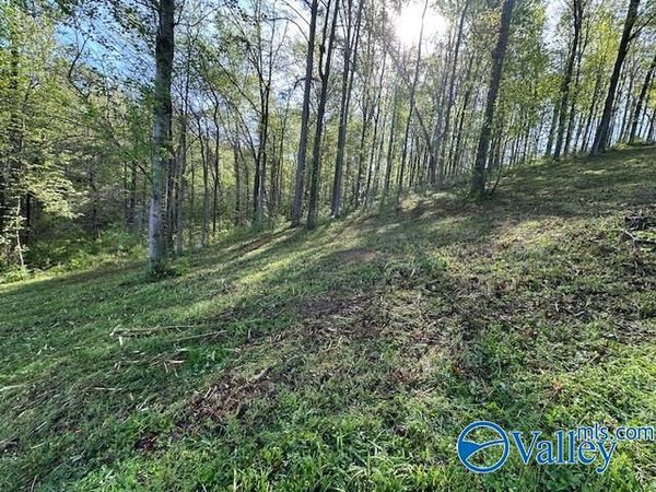 Lot 28 Hualapai Lane, Guntersville, AL 35976