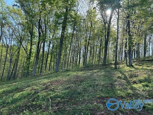 Lot 27 Hualapai Lane, Guntersville, AL 35976