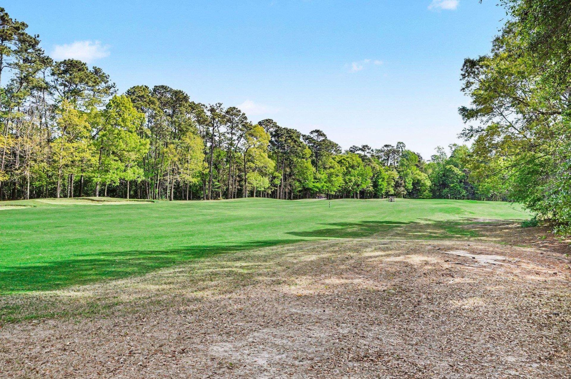 19 Pistachio Loop Photo 26