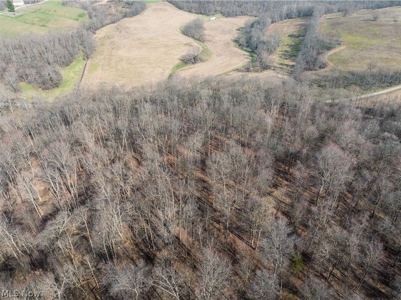 Coal Road, Fresno, OH 43824 Photo 2