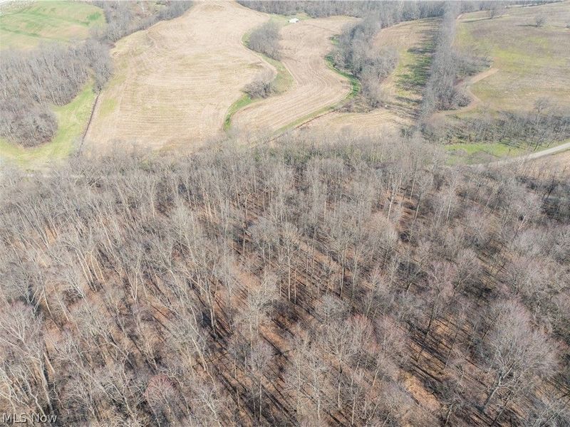 Coal Road, Fresno, OH 43824 Photo 3