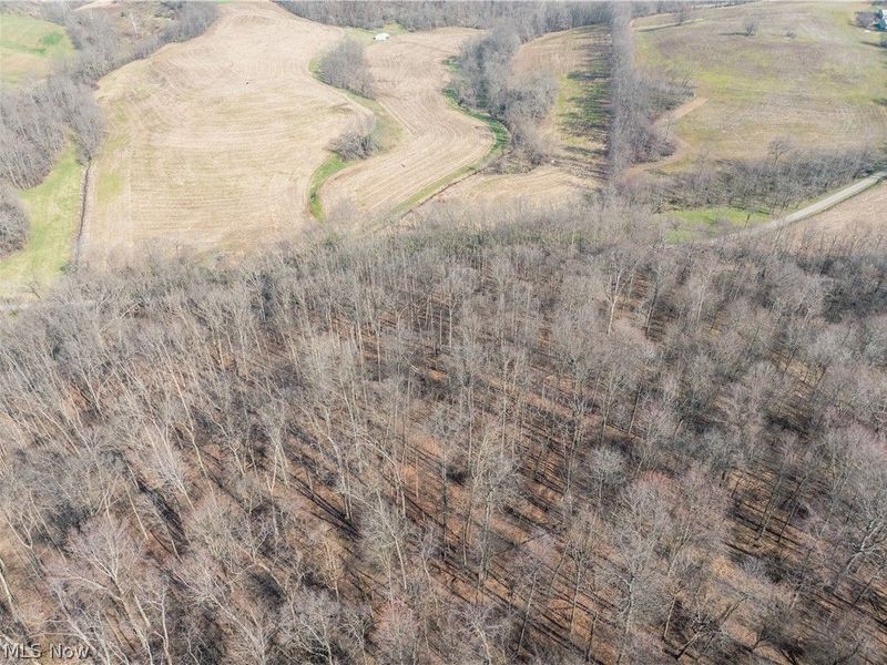 Coal Road, Fresno, OH 43824 Photo 4