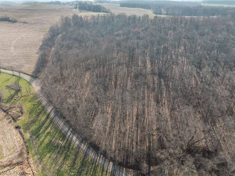 Coal Road, Fresno, OH 43824 Photo 5