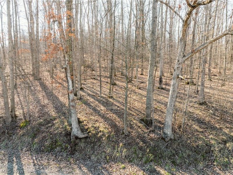 Coal Road, Fresno, OH 43824 Photo 6