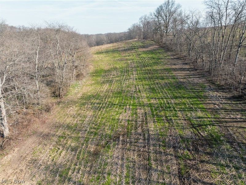 Coal Road, Fresno, OH 43824 Photo 10