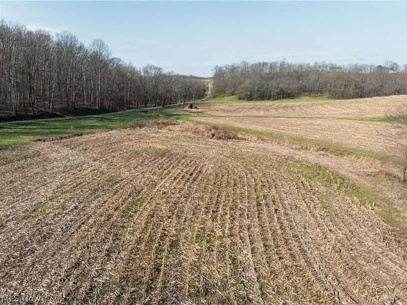 Coal Road, Fresno, OH 43824 Photo 11