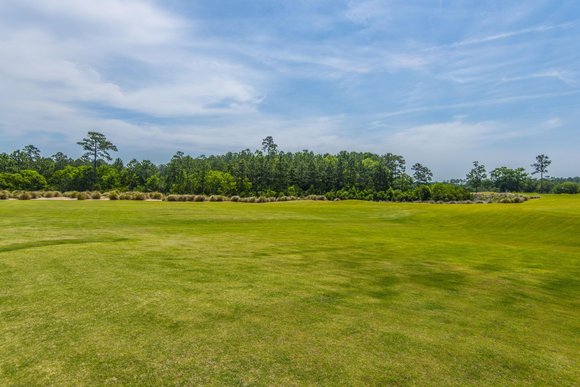 1557 Oakhurst Drive Photo 111