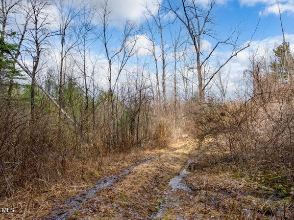 L3 McGill Road, East Nassau, NY 12062