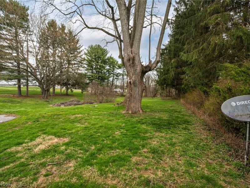 4199 Sheridan Street, Norton, OH 44203 Photo 35