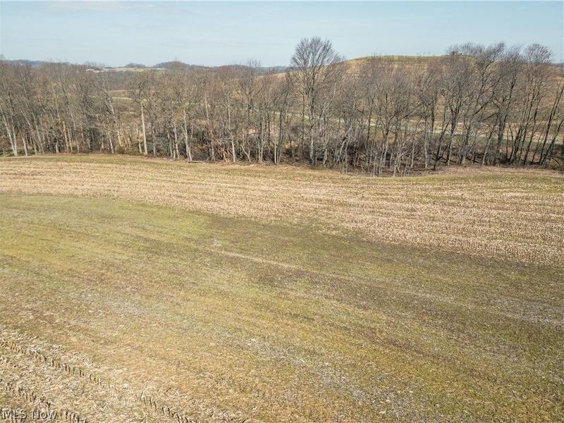 Pleasant Hill Drive, Fresno, OH 43824 Photo 3