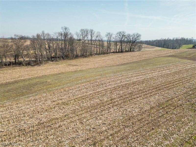 Pleasant Hill Drive, Fresno, OH 43824 Photo 2