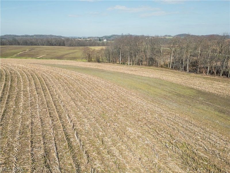 Pleasant Hill Drive, Fresno, OH 43824 Photo 4