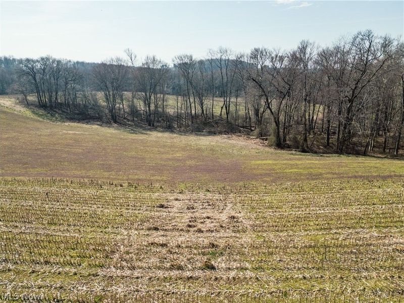 Pleasant Hill Drive, Fresno, OH 43824 Photo 5