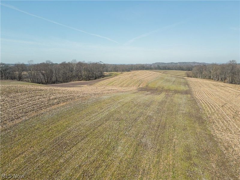 Pleasant Hill Drive, Fresno, OH 43824 Photo 7