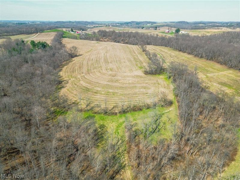 Endlich Road, Fresno, OH 43804 Photo 1