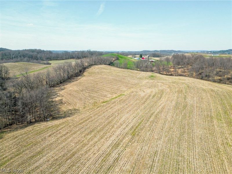 Endlich Road, Fresno, OH 43804 Photo 2