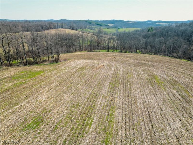 Endlich Road, Fresno, OH 43804 Photo 4