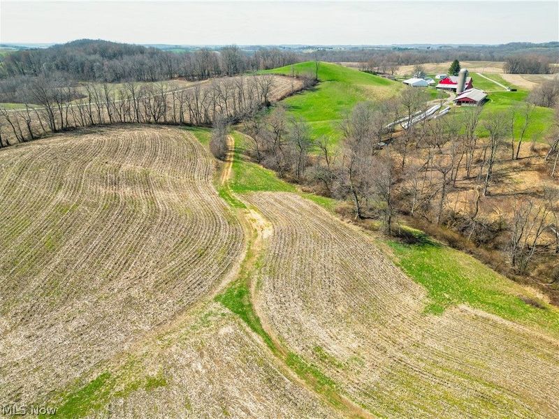 Endlich Road, Fresno, OH 43804 Photo 5