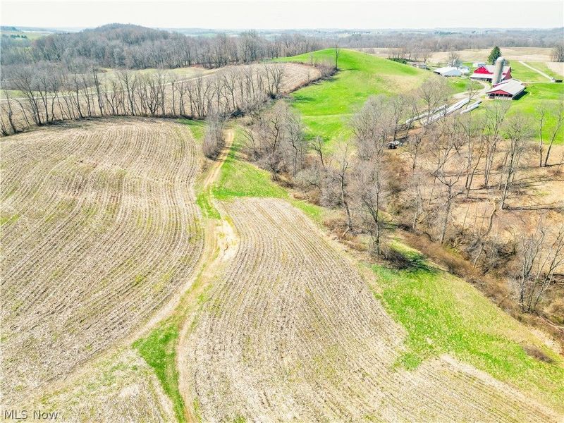 Endlich Road, Fresno, OH 43804 Photo 6