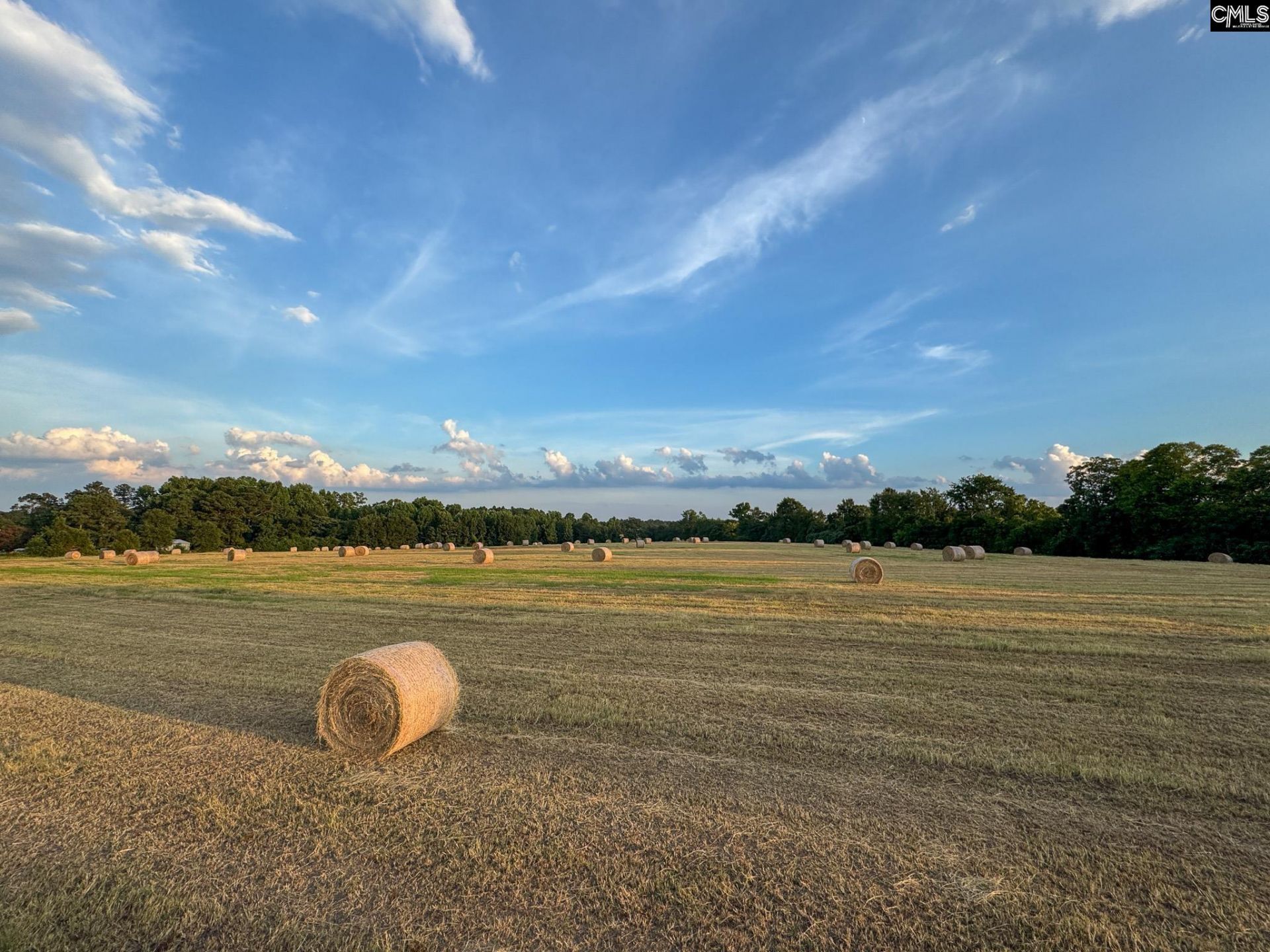 0 Shealy Road Photo 11