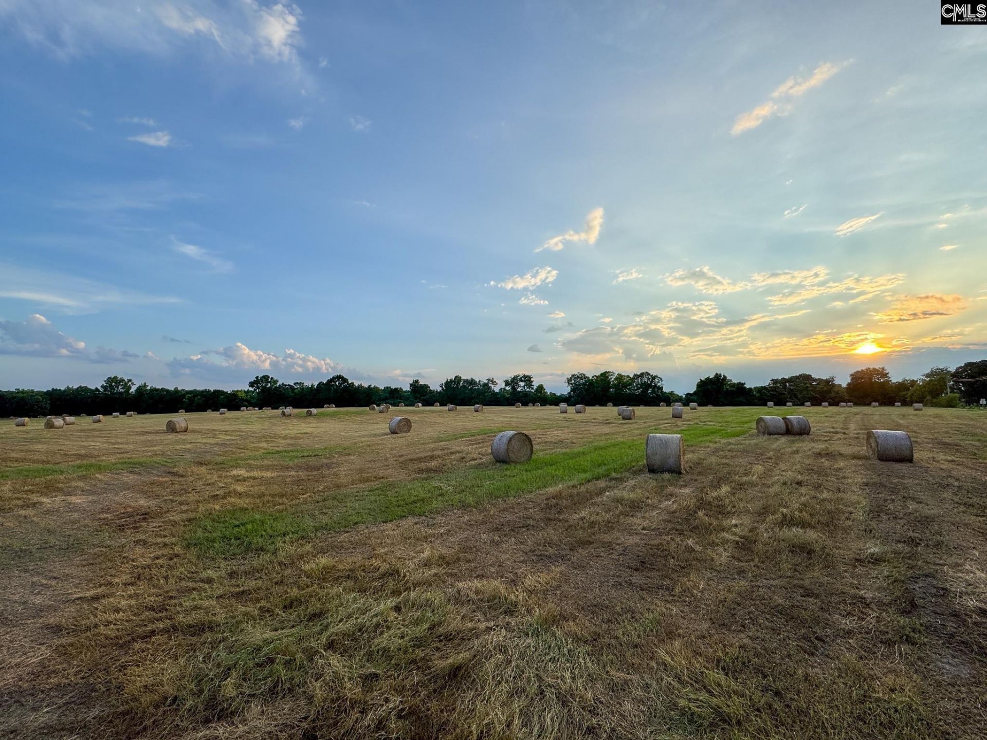 0 Shealy Road Photo 12