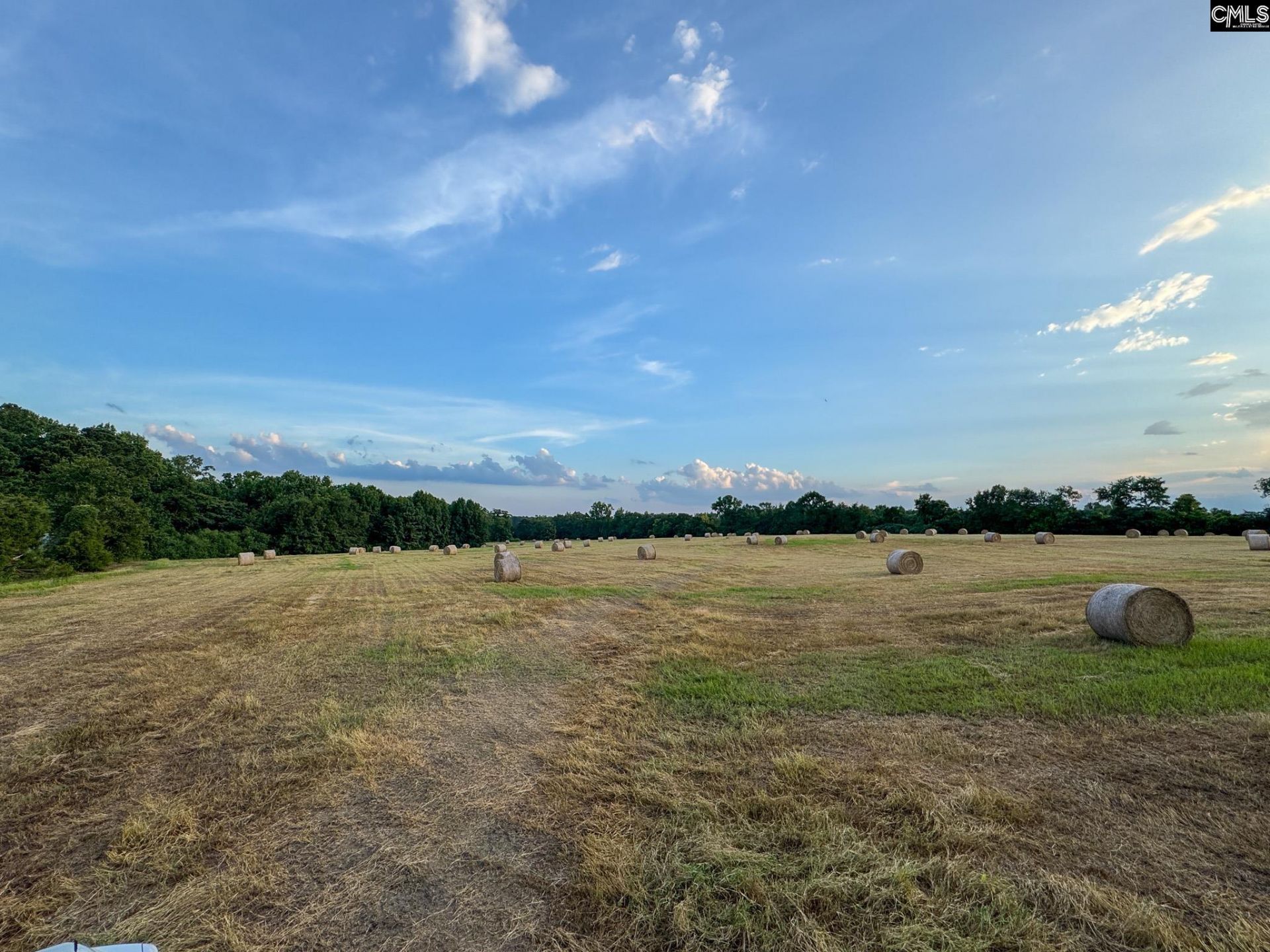 0 Shealy Road Photo 13