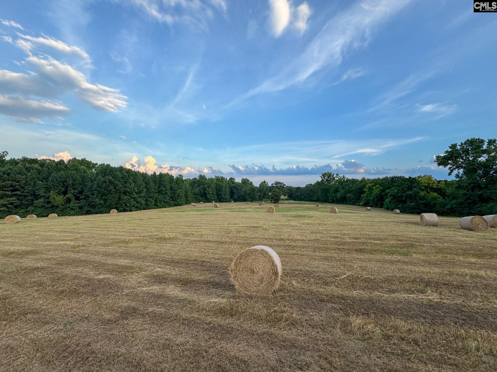 0 Shealy Road Photo 14