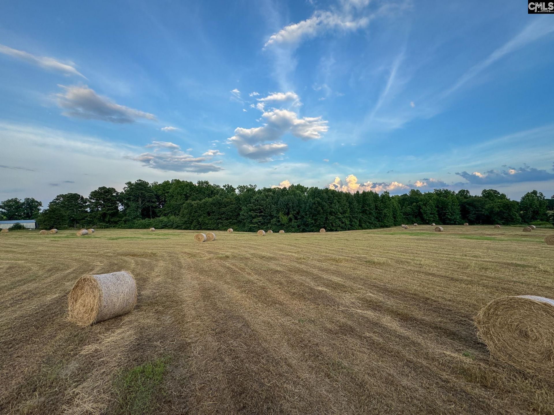 0 Shealy Road Photo 15