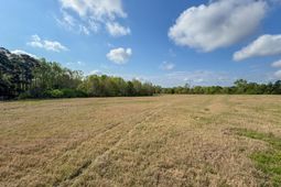 0 Shealy Road photo 4