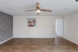 151 Honey Tree photo 4