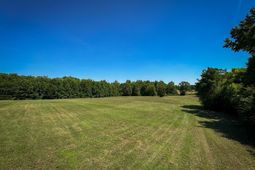 0 Shealy Road photo 4