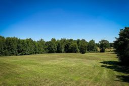 0 Shealy Road photo 4