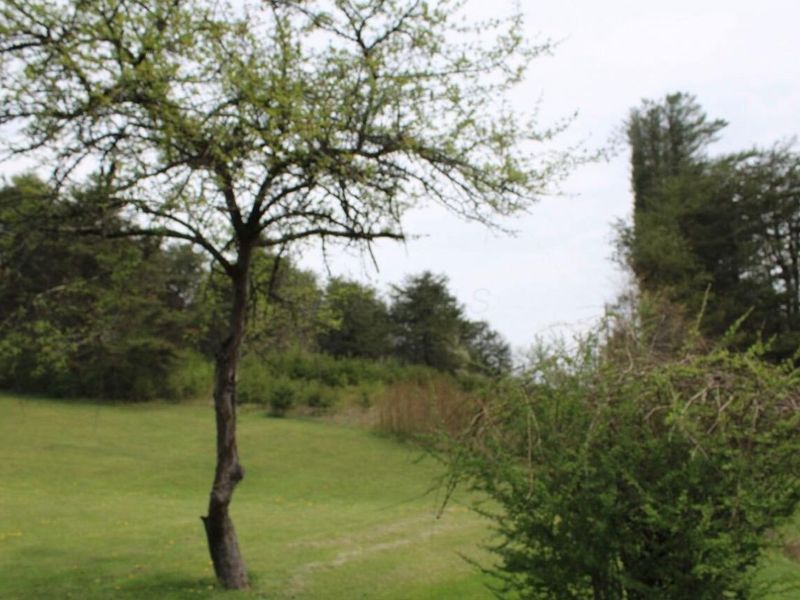 27284 State Route 180, Rockbridge, OH 43149 Photo 4