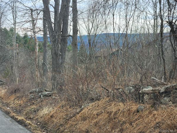 Irish Cape Road , Ellenville, NY 12428