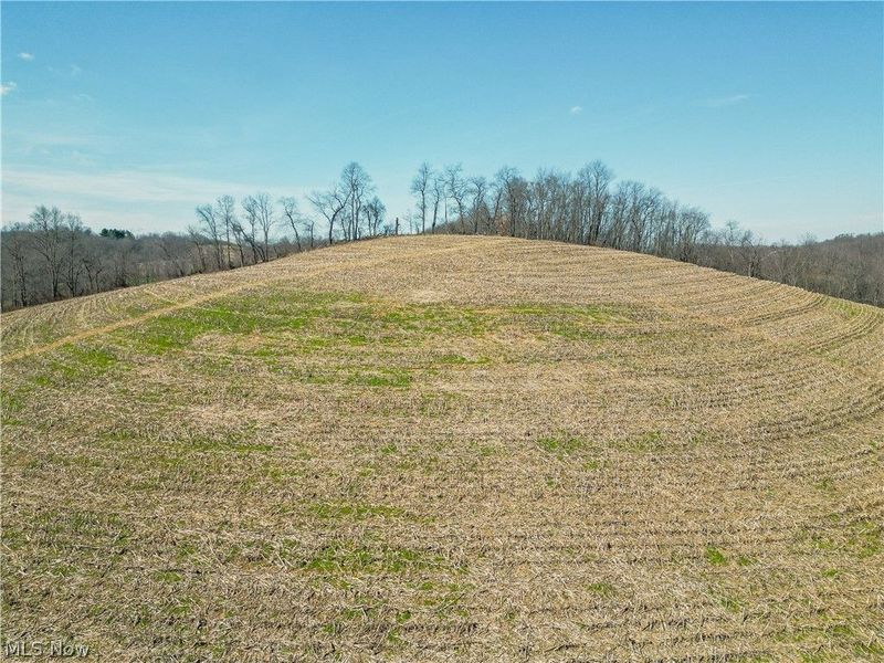 Endlich Road, Fresno, OH 43804 Photo 3