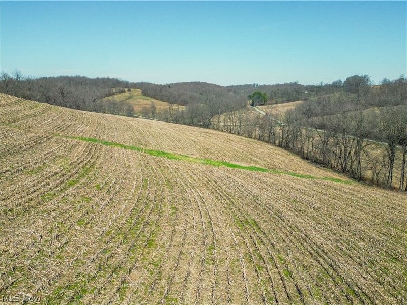 Endlich Road, Fresno, OH 43804 Photo 4