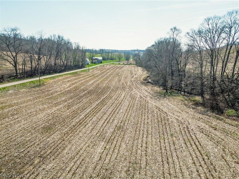 Endlich Road, Fresno, OH 43840 Photo 3