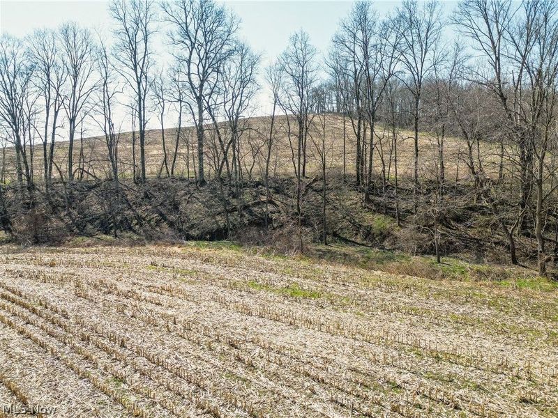 Endlich Road, Fresno, OH 43840 Photo 4